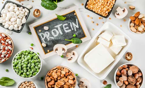 Proteins & Vegetable Powder