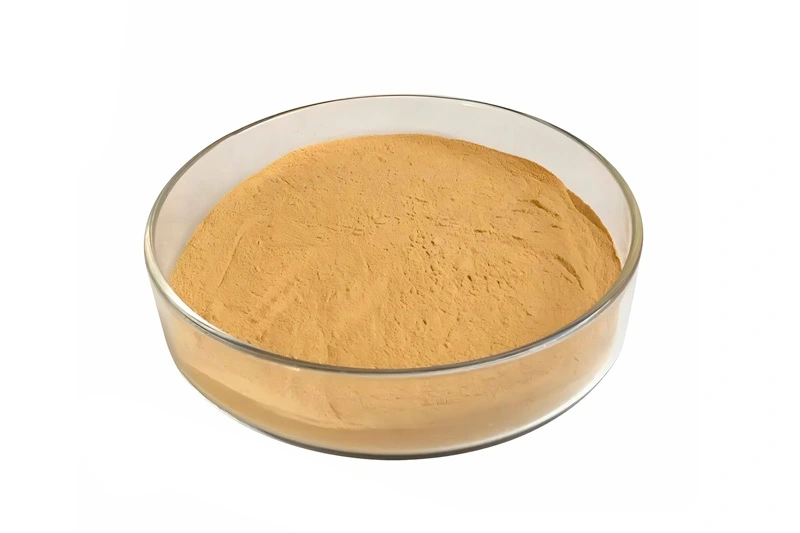 Yeast Extract Powder 8013-01-2
