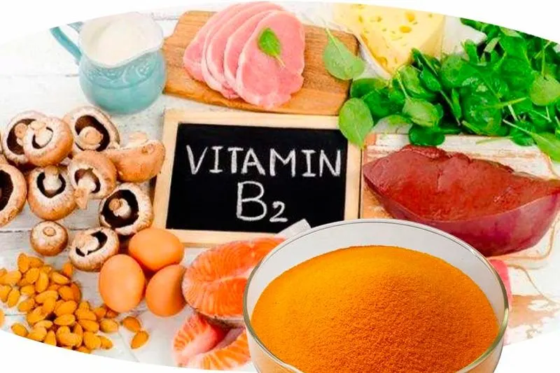 Vitamin B2 for Poultry Feed 83-88-5